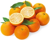 Saftorangen bei REWE im Niesky Prospekt für 2,99 €