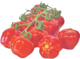 Paprikatomaten von  im aktuellen V-Markt Prospekt für 1,79 €