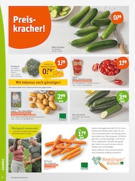 Zucchini Angebot im aktuellen tegut Prospekt auf Seite 2