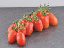 San-Marzano- Minitomaten bei K+K - Klaas & Kock in Bielefeld San-Marzano- Minitomaten im Angebot bei K+K - Klaas & Kock Bielefeld für 1,99 €