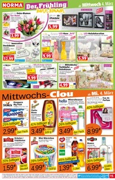 Norma Dekokissen im Prospekt 