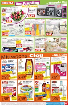 Blumen im aktuellen Norma Prospekt (Jena) Blumen im Norma Prospekt "Mehr fürs Geld" mit 20 Seiten (Jena)