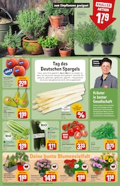 Ähnliche Angebote wie Zitronenbaum im Prospekt "Dein Markt" auf Seite 7 von REWE in Wetzlar
