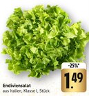 Endiviensalat im Angebot bei E center in Nürtingen Endiviensalat Angebote bei E center Nürtingen für 1,49 €