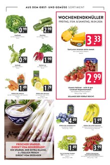 Tomaten im Hieber Prospekt "Aktuelle Angebote" mit 17 Seiten (Freiburg (Breisgau))