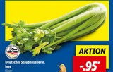 Deutscher Staudensellerie im Angebot bei Lidl in Bergisch Gladbach Deutscher Staudensellerie Angebote bei Lidl Bergisch Gladbach für 0,95 €