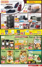 Pfifferlinge Angebot im aktuellen Norma Prospekt auf Seite 5