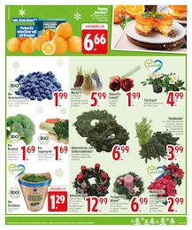 EDEKA Blaubeeren im Prospekt 