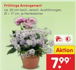 Frühlings Arrangement Angebote bei Netto Marken-Discount Bremerhaven für 7,99 €