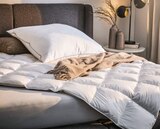 Aktuelles Ganzjahresbett Angebot bei XXXLutz Möbelhäuser in Wiesbaden ab 69,99 €