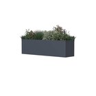 Westmann Pflanzkasten Talus im aktuellen POCO Prospekt für 99,99 €
