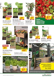 Gartenerde im toom Baumarkt Prospekt in Ettlingen Aktueller toom Baumarkt Prospekt mit Gartenerde, "Willkommen zur großen Neueröffnung!", Seite 3