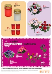 Prix et réduction Rosier dans le prospectus Maxi Bazar en cours Offre Rosier dans le catalogue Maxi Bazar du moment à la page 5