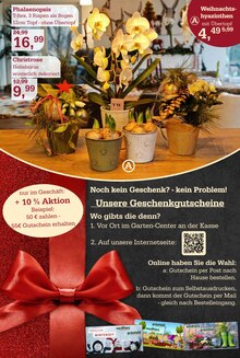 Blumen im aktuellen Garten-Center Nordharz GmbH & Co. KG Prospekt (Hildesheim) Blumen im Garten-Center Nordharz GmbH & Co. KG Prospekt "HO HO HO" mit 14 Seiten (Hildesheim)