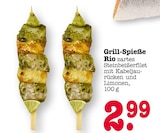 Aktuelle Fisch Angebote bei E center in Mannheim Aktuelles Grill-Spieße Angebot bei E center in Mannheim ab 2,99 €