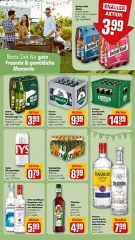 Radler im REWE Prospekt "Dein Markt" mit 34 Seiten (Potsdam)