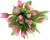 Penny Emmelshausen - Tulpen Multipack Angebot im Prospekt Tulpen Multipack bei Penny im Emmelshausen Prospekt für 4,99 €