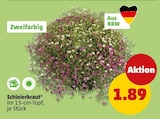 Schleierkraut bei Penny im Prospekt "" für 1,89 €