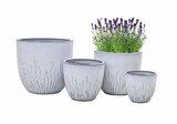 Angebot im Hagebaumarkt Aurich Prospekt Hagebaumarkt Aurich Prospekt mit im Angebot für 12,99 €