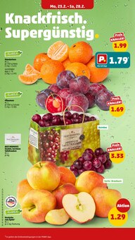 Äpfel im Penny Prospekt "Wer günstig will, muss Penny." mit 47 Seiten (Freiburg (Breisgau))