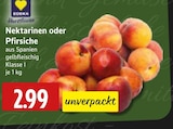 EDEKA - Nektarinen Angebot im Prospekt Nektarinen bei EDEKA im Prospekt "" für 2,99 €
