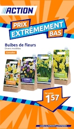 Catalogue Action "Prix extrêment bas" à Bois-d'Arcy et alentours, 21 pages, 25/09/2024 - 01/10/2024