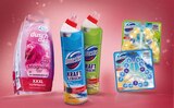 WC-Stein Angebote von Domestos bei Netto Marken-Discount Remscheid für 2,99 €