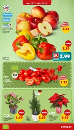 Aktueller Penny Prospekt mit Tomaten, "Wer günstig will, muss Penny.", Seite 5