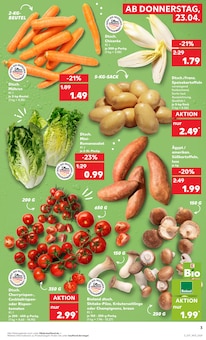 Kartoffeln im Kaufland Prospekt "Aktuelle Angebote" mit 54 Seiten (Magdeburg)