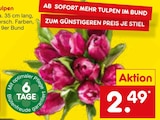 Aktuelles Tulpen Angebot bei Netto Marken-Discount in Bergisch Gladbach ab 2,49 €