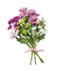 Chrysanthemen-Mix im Kaufland Prospekt Chrysanthemen-Mix im aktuellen Kaufland Prospekt für 3,49 €
