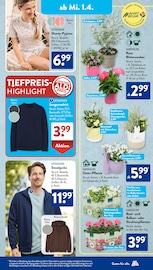 Balkonpflanzen im ALDI SÜD Prospekt in Kaufbeuren Aktueller ALDI SÜD Prospekt mit Balkonpflanzen, "Gutes für Alle.", Seite 27