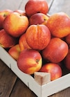 Promo Nectarine Blanche et/ou Jaune à 2,59 € dans le catalogue Intermarché Super à Le Pouliguen