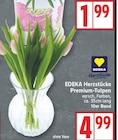 Premium-Tulpen von EDEKA Herzstücke im aktuellen EDEKA Prospekt