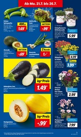 Paprika im Lidl Prospekt in Weimar Aktueller Lidl Prospekt mit Paprika, "LIDL LOHNT SICH", Seite 3