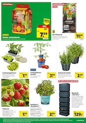 Aktueller Hagebaumarkt Prospekt mit Kräuter, "Raus in den Garten? SO günstig geht das!", Seite 4