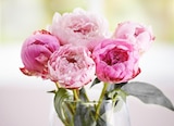 Carrefour Voiron - Promo Bouquet de 5 pivoines Promo Bouquet de 5 pivoines à 4,99 € dans le catalogue Carrefour à Voiron