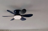 Deckenleuchte mit Ventilator Lund für 39,99 € bei toom Baumarkt im Angebot Deckenleuchte mit Ventilator Lund im aktuellen toom Baumarkt Prospekt