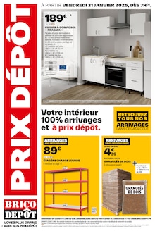 Promo Electroménager dans le catalogue Brico Dépôt du moment à la page 1