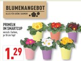 Marktkauf Blomberg Prospekt mit  im Angebot für 1,29 €