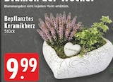 Bepflanztes Keramikherz im Angebot bei EDEKA in Hennef Bepflanztes Keramikherz Angebote bei EDEKA Hennef für 9,99 €