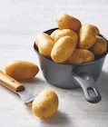 Pomme de terre de consommation lavée - U Express à Illkirch-Graffenstaden Pomme de terre de consommation lavée en promo chez U Express Illkirch-Graffenstaden à 2,49 €