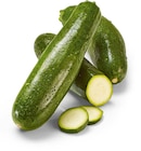 Zucchini im Angebot bei Netto Marken-Discount in Celle Zucchini Angebote bei Netto Marken-Discount Celle für 2,99 €