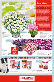 Aktueller Hellweg Prospekt mit Hundefutter, "Die Profi-Baumärkte", Seite 28