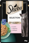 Selection von Sheba im aktuellen budni Prospekt