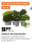 Stauden-Mix Angebote von Grow by Obi bei OBI Bremerhaven für 9,99 €