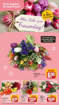 Tulpen im REWE Prospekt "Dein Markt" mit 30 Seiten (Halle (Saale))