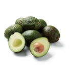 Avocat à Lidl dans Hirsingue Avocat à Lidl dans Hirsingue
