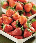 Intermarché Contact Pont-Aven - Promo Fraise Ronde Promo Fraise Ronde à 2,99 € dans le catalogue Intermarché Contact à Pont-Aven