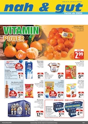 nah und gut Supermarkt Prospekt der aktuellen Woche mit 4 Seiten, gültig von 20.10.2025 bis 31.10.2025, in Gerbrunn und Umgebung Aktueller nah und gut Supermarkt Prospekt in Gerbrunn und Umgebung, "Wir lieben Lebensmittel!" mit 4 Seiten, 20.10.2025 - 31.10.2025